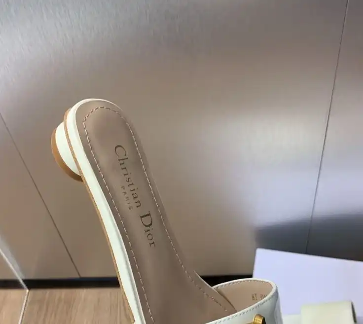 hype Christian Dior Slippers