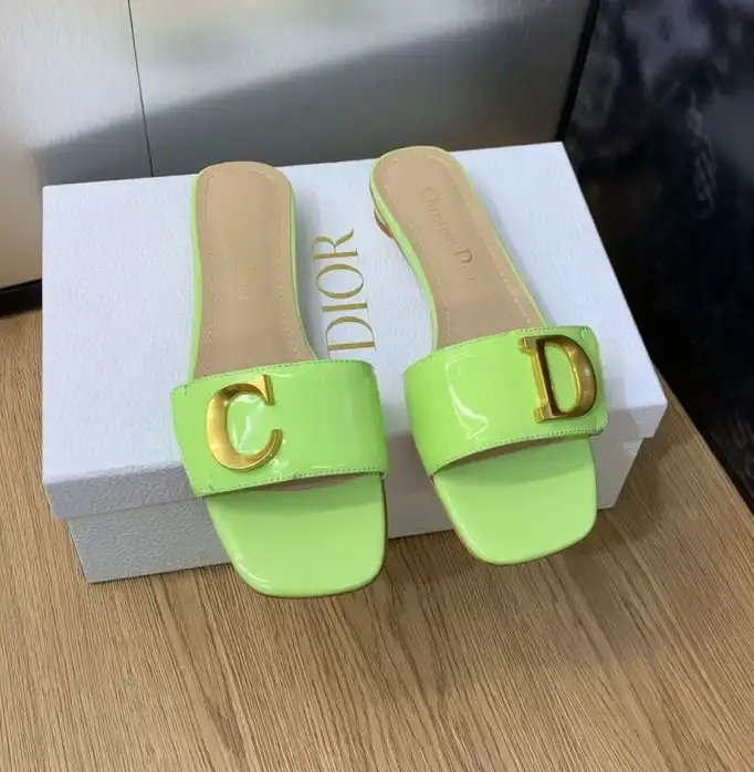 hype Christian Dior Slippers