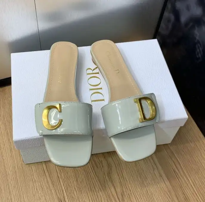 hype Christian Dior Slippers