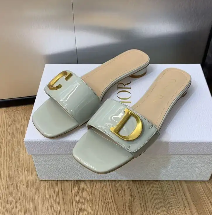 hype Christian Dior Slippers