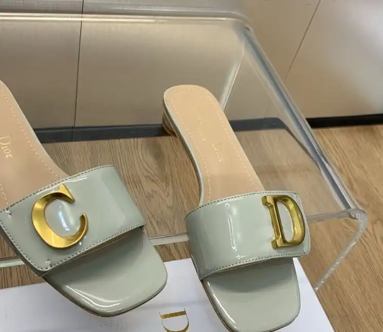 hype Christian Dior Slippers