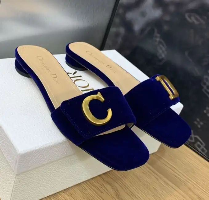 hype Christian Dior Slippers