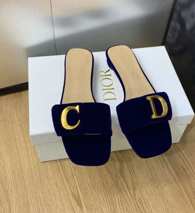 hype Christian Dior Slippers