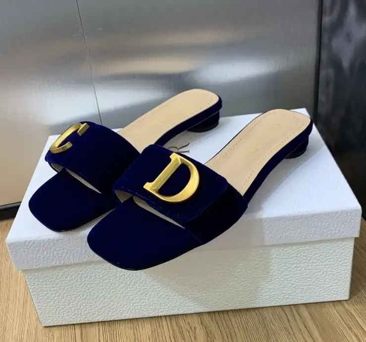 hype Christian Dior Slippers