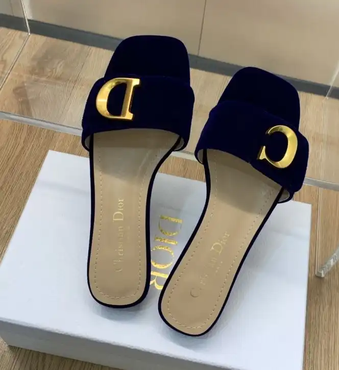 hype Christian Dior Slippers