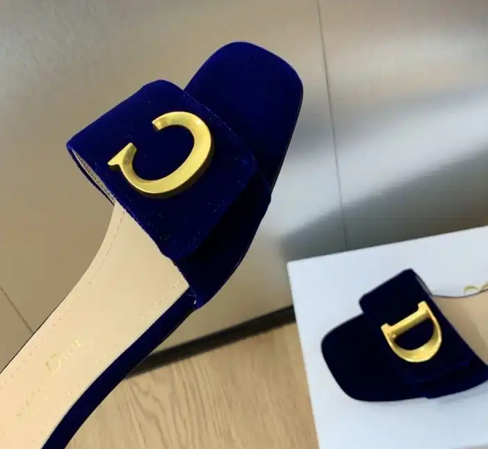 hype Christian Dior Slippers