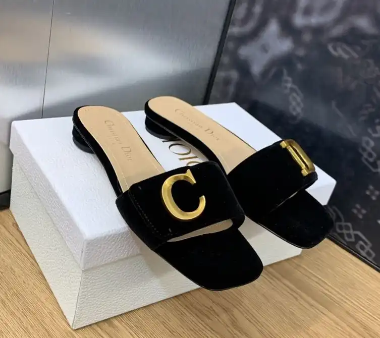 hype Christian Dior Slippers