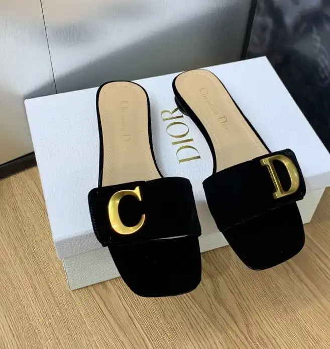 hype Christian Dior Slippers