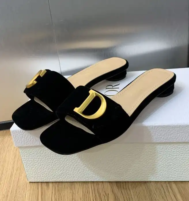 hype Christian Dior Slippers