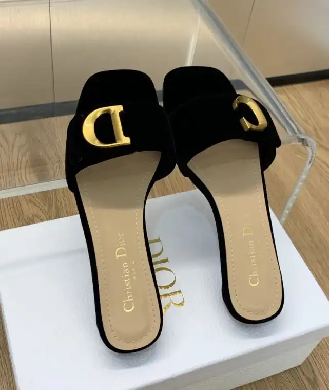 hype Christian Dior Slippers