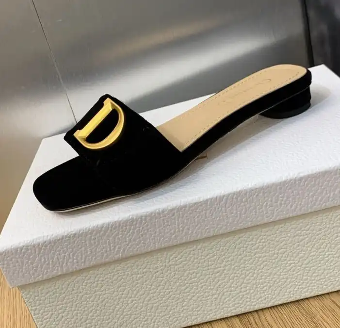 hype Christian Dior Slippers