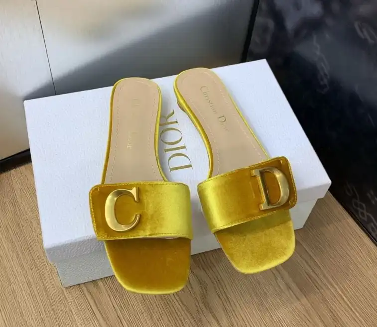 hype Christian Dior Slippers