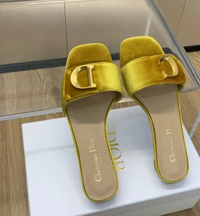 hype Christian Dior Slippers