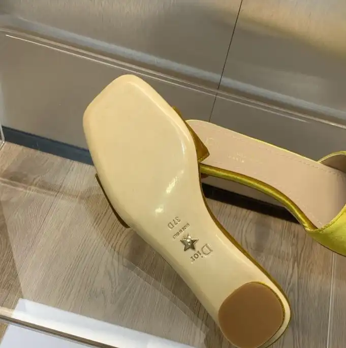 hype Christian Dior Slippers