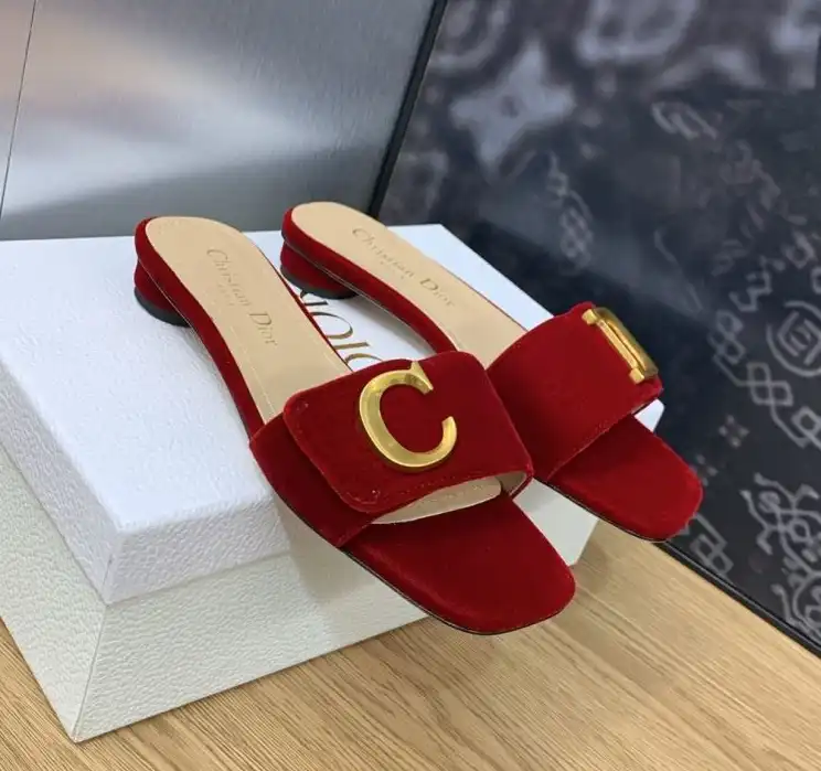 hype Christian Dior Slippers