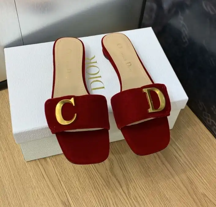 hype Christian Dior Slippers