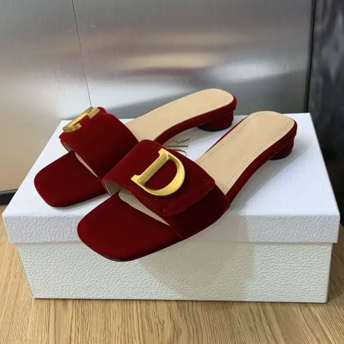 hype Christian Dior Slippers