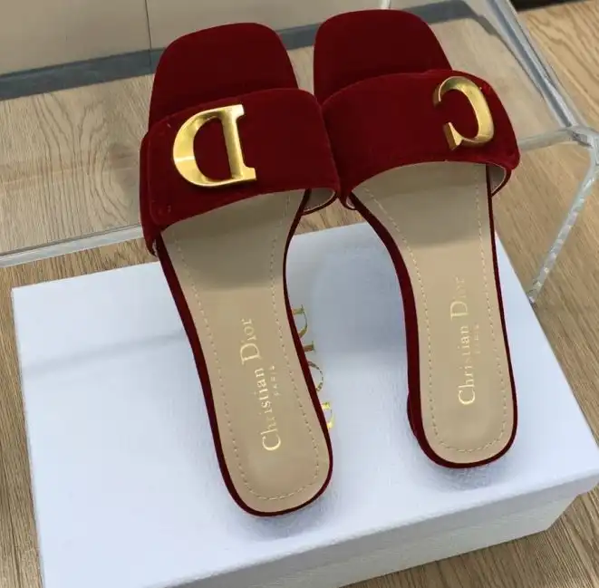 hype Christian Dior Slippers