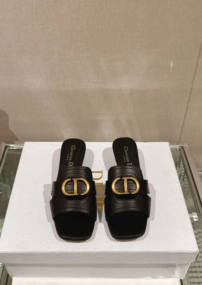 hype Christian Dior Slippers