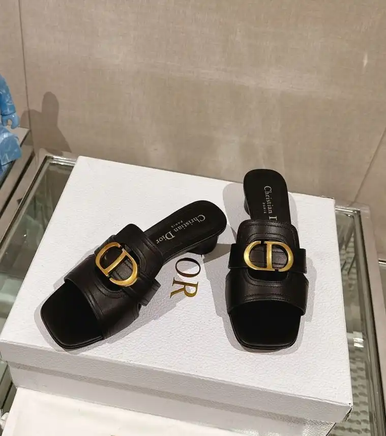 hype Christian Dior Slippers