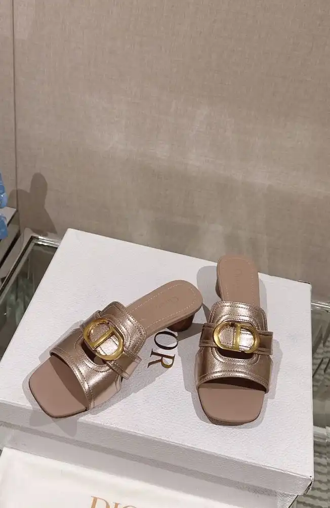 hype Christian Dior Slippers