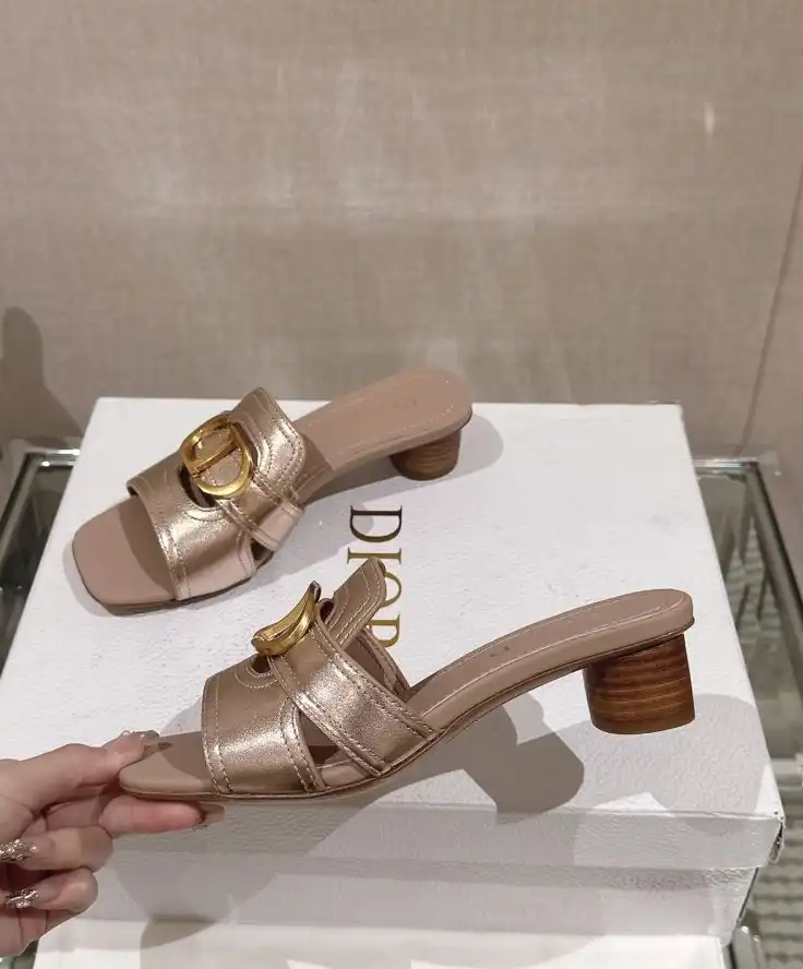 hype Christian Dior Slippers