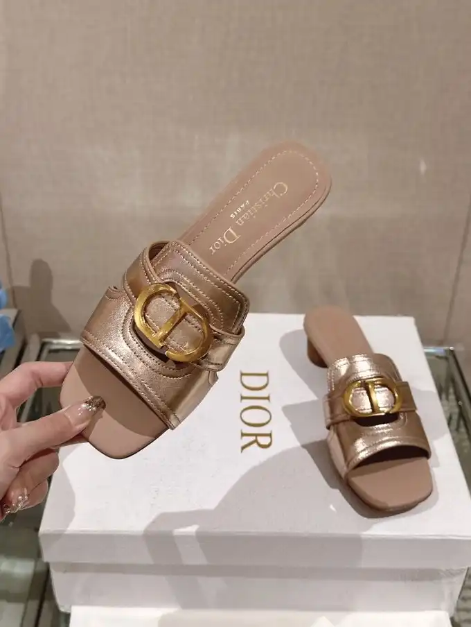 hype Christian Dior Slippers