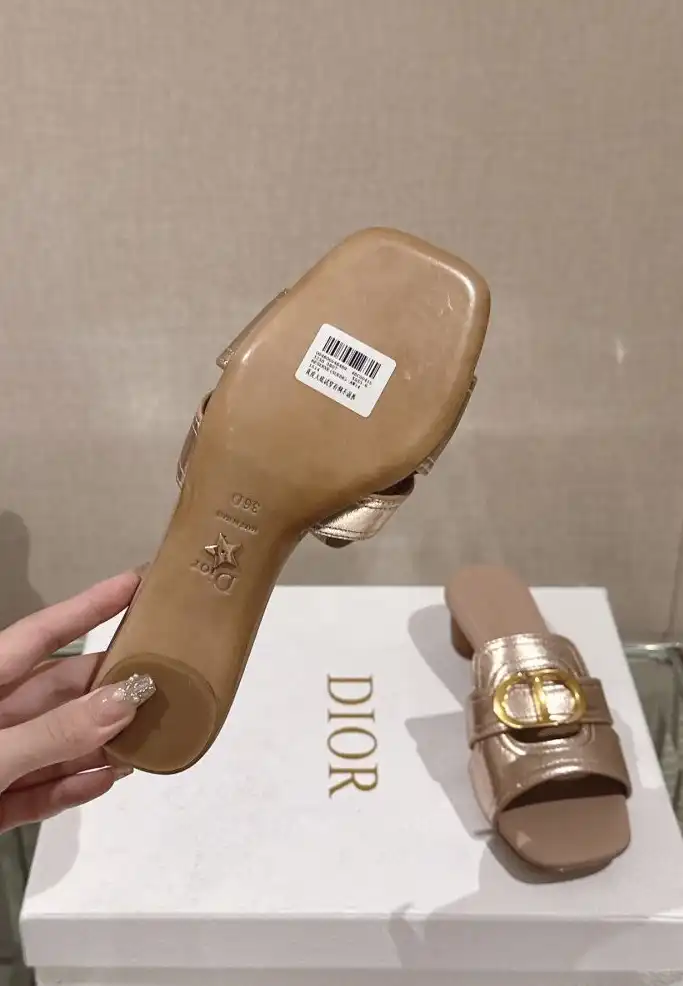 hype Christian Dior Slippers