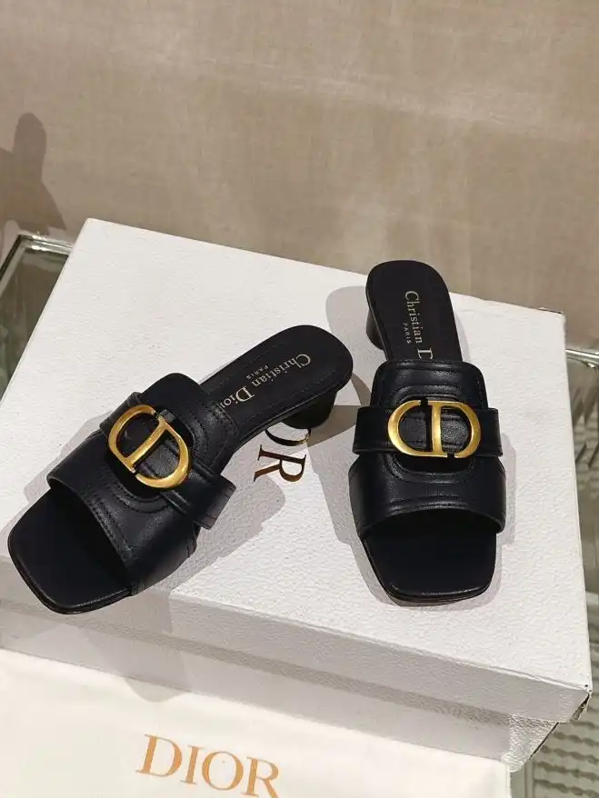 hype Christian Dior Slippers