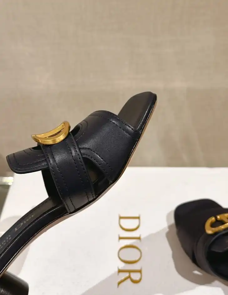 hype Christian Dior Slippers