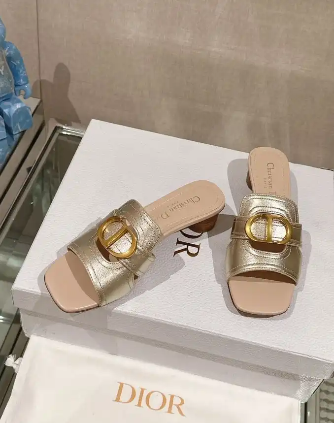 hype Christian Dior Slippers