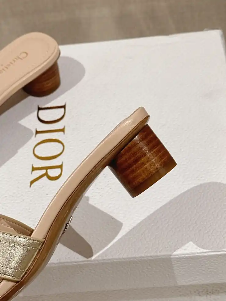 hype Christian Dior Slippers