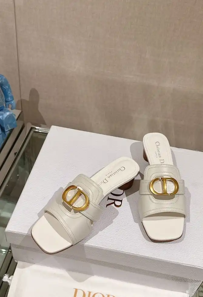 hype Christian Dior Slippers