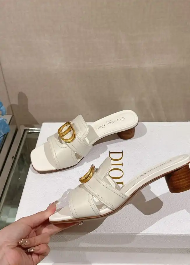 hype Christian Dior Slippers