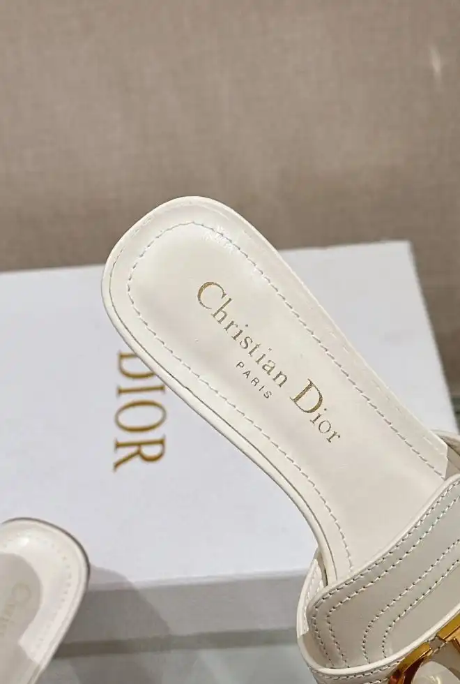 hype Christian Dior Slippers