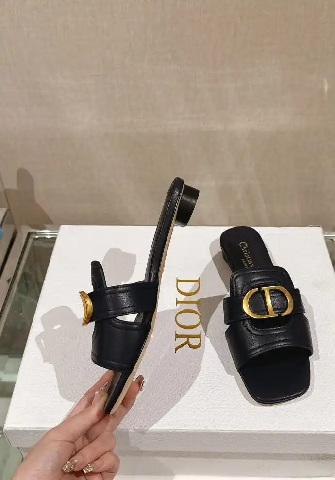 hype Christian Dior Slippers