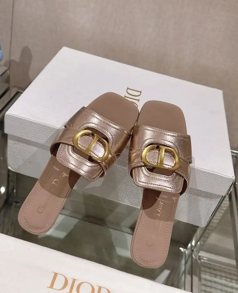 hype Christian Dior Slippers