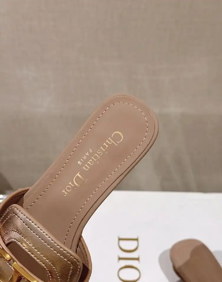 hype Christian Dior Slippers