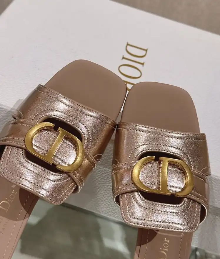 hype Christian Dior Slippers