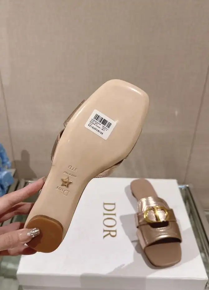 hype Christian Dior Slippers