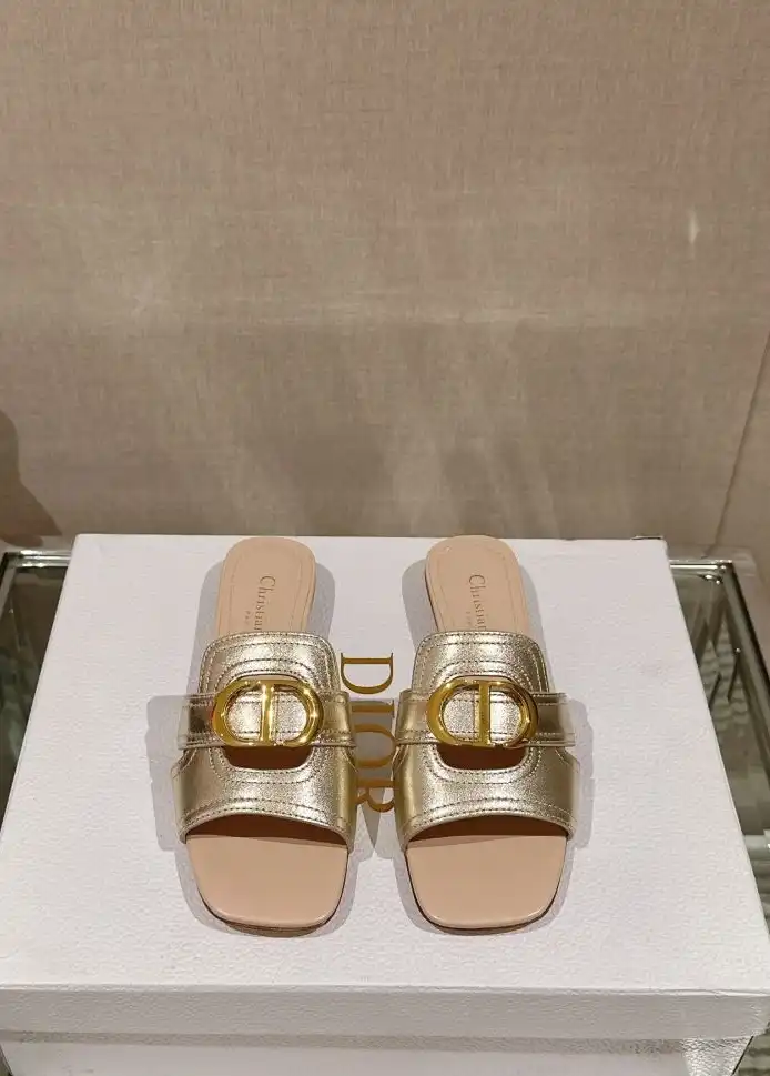 hype Christian Dior Slippers