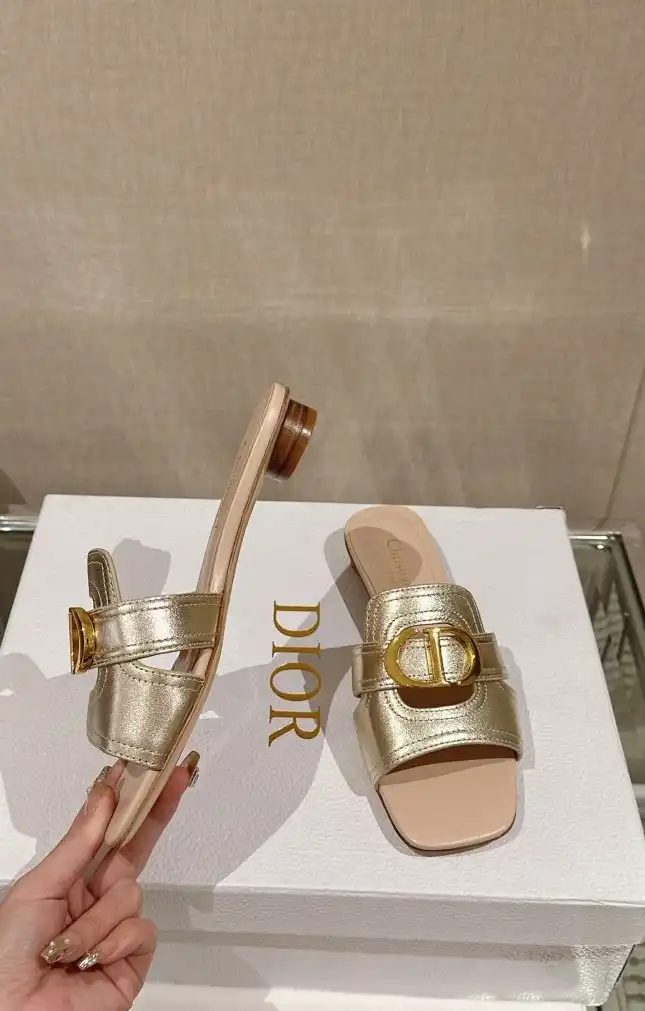 hype Christian Dior Slippers