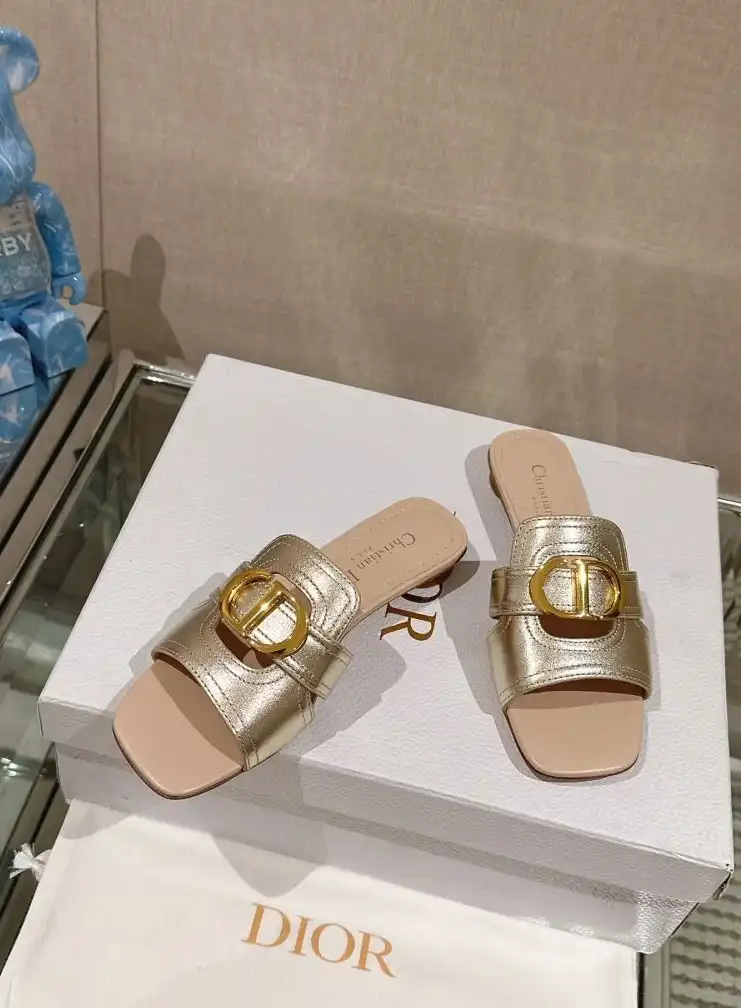 hype Christian Dior Slippers