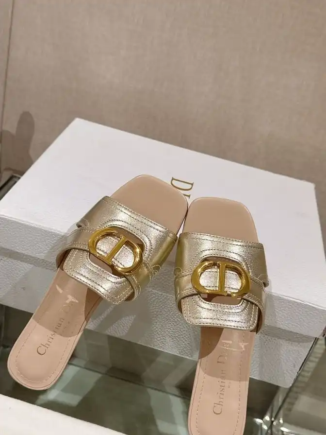 hype Christian Dior Slippers