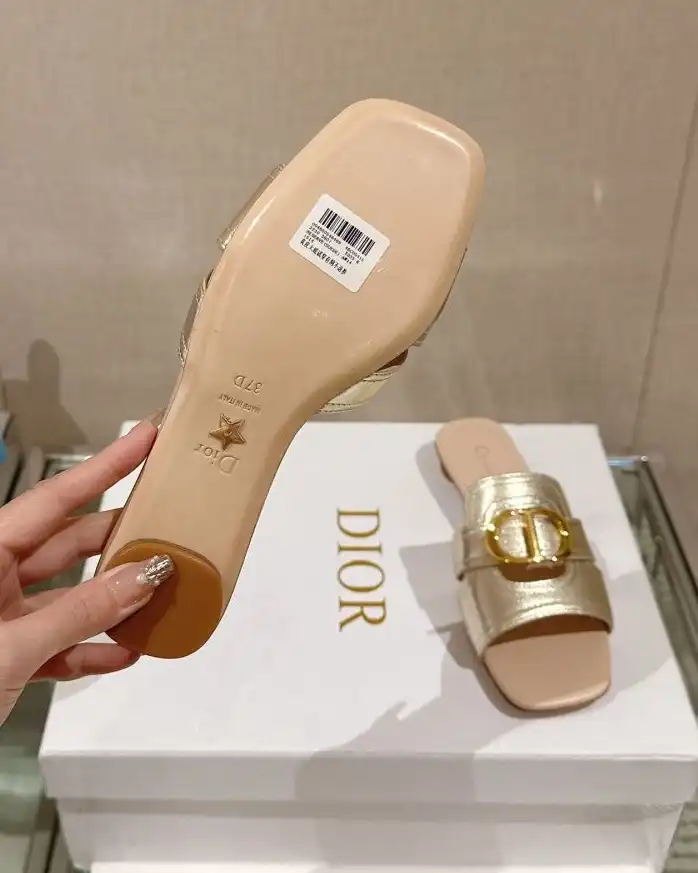 hype Christian Dior Slippers