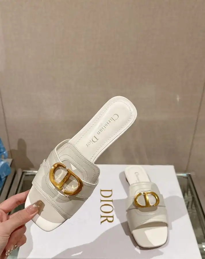 hype Christian Dior Slippers