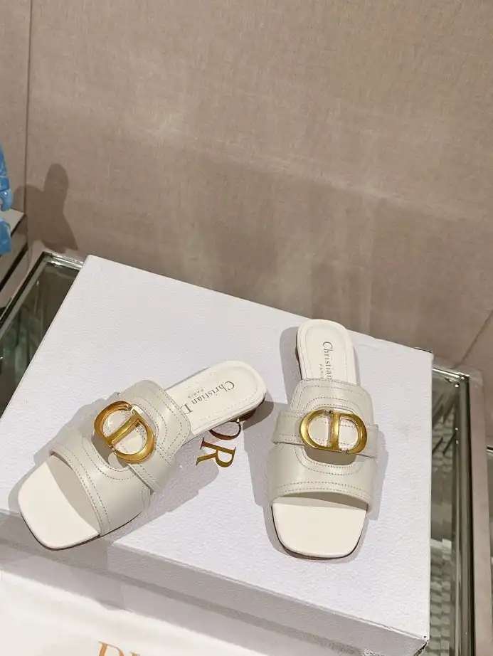 hype Christian Dior Slippers