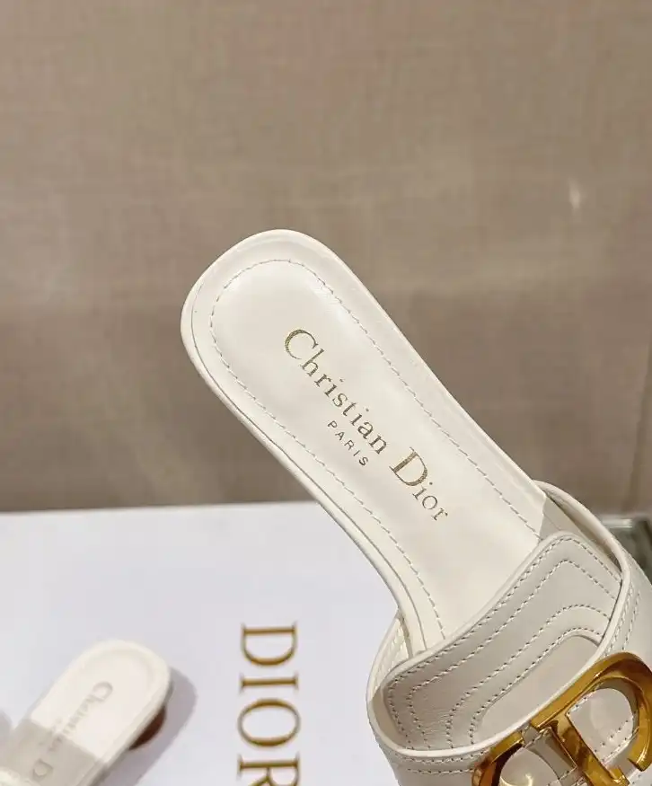 hype Christian Dior Slippers