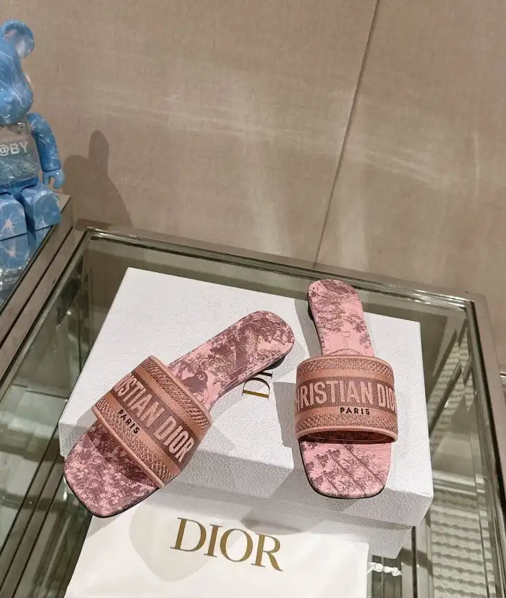 hype Christian Dior Slippers