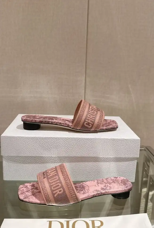 hype Christian Dior Slippers